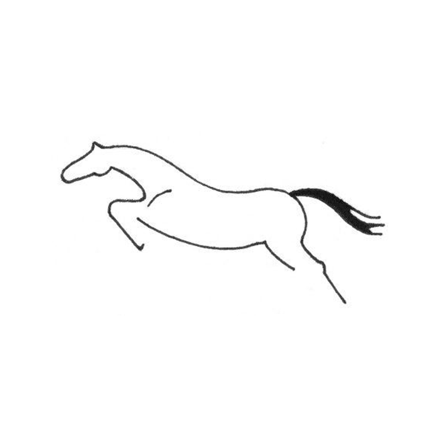 Damascus Equine