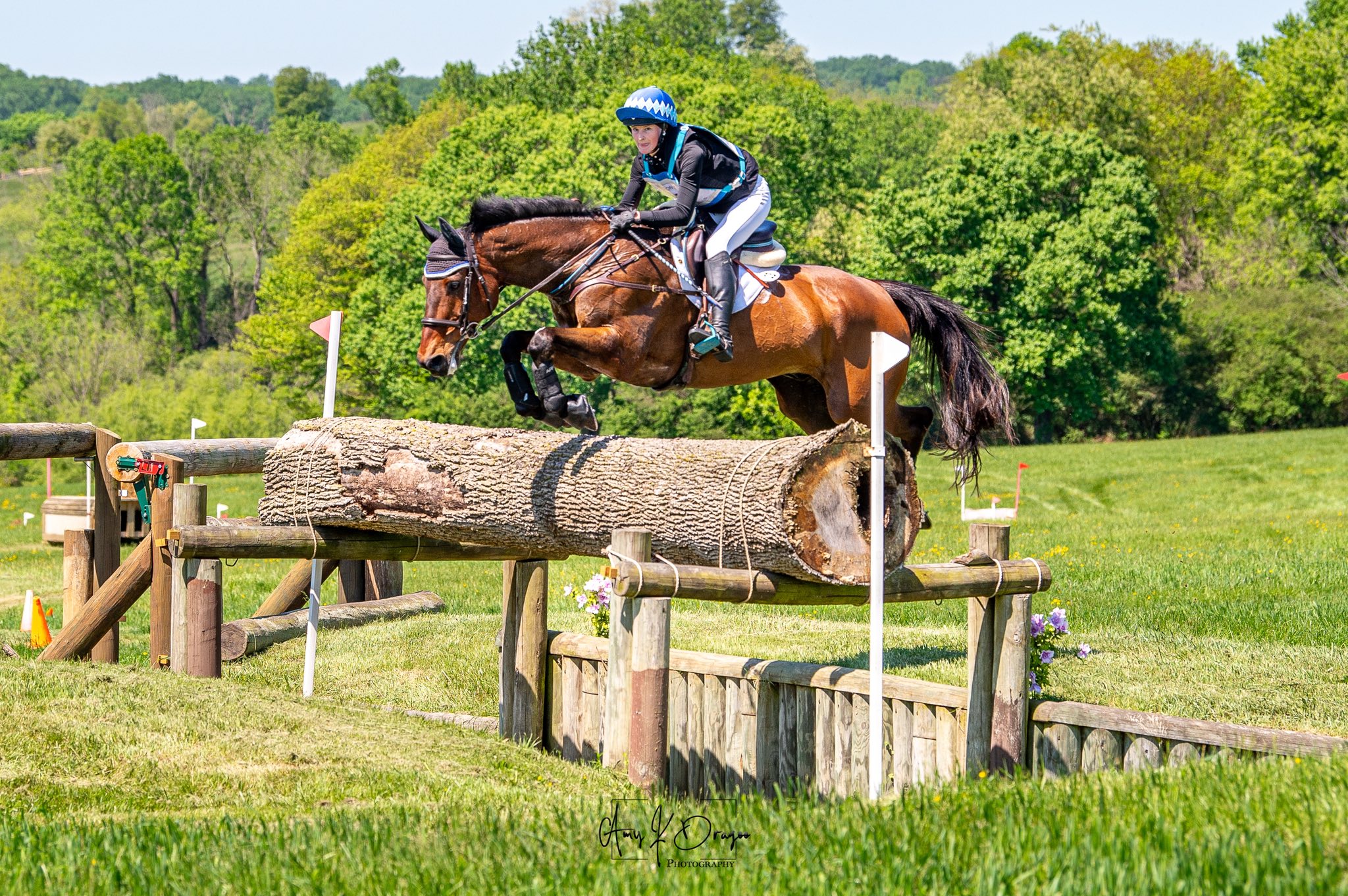 It’s been a packed two weeks for #TeamMLE, with riders excelling across disciplines and venues.