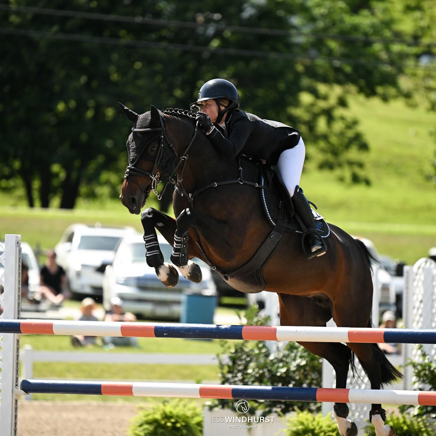 The summer heat is on, but #TeamMLE is rising to the occasion in rings and arenas across the East Coast!