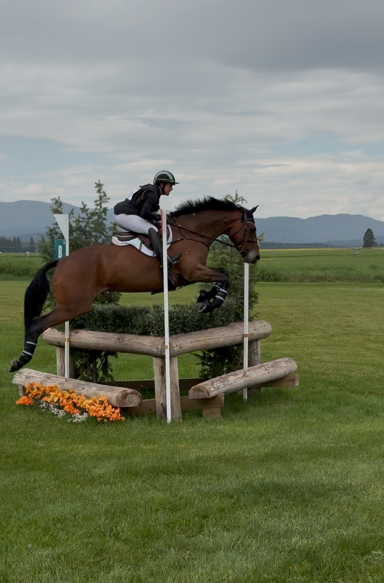 #TeamMLE was coast to coast last week, with riders making their mark in every ring.