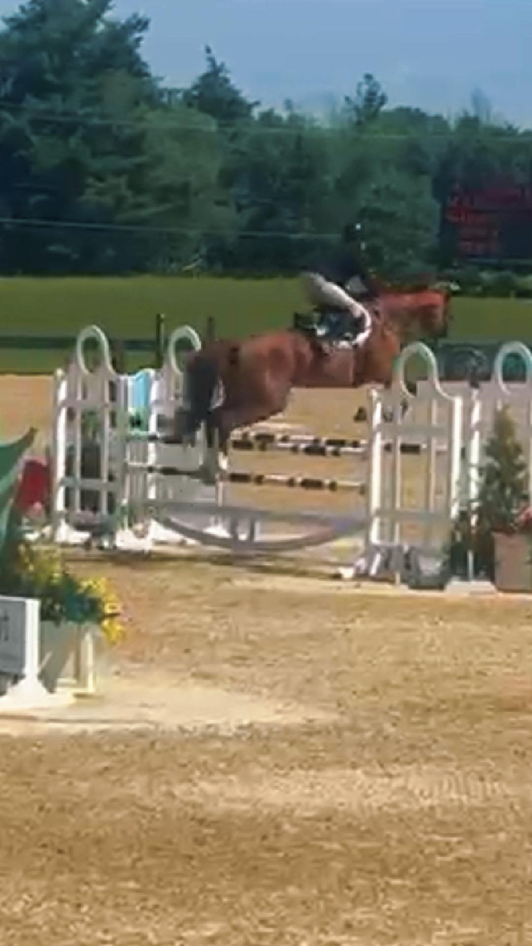 While our #MLEeventers enjoyed a well-deserved weekend off, our #MLEhunters and #MLEjumpers were out in full force!