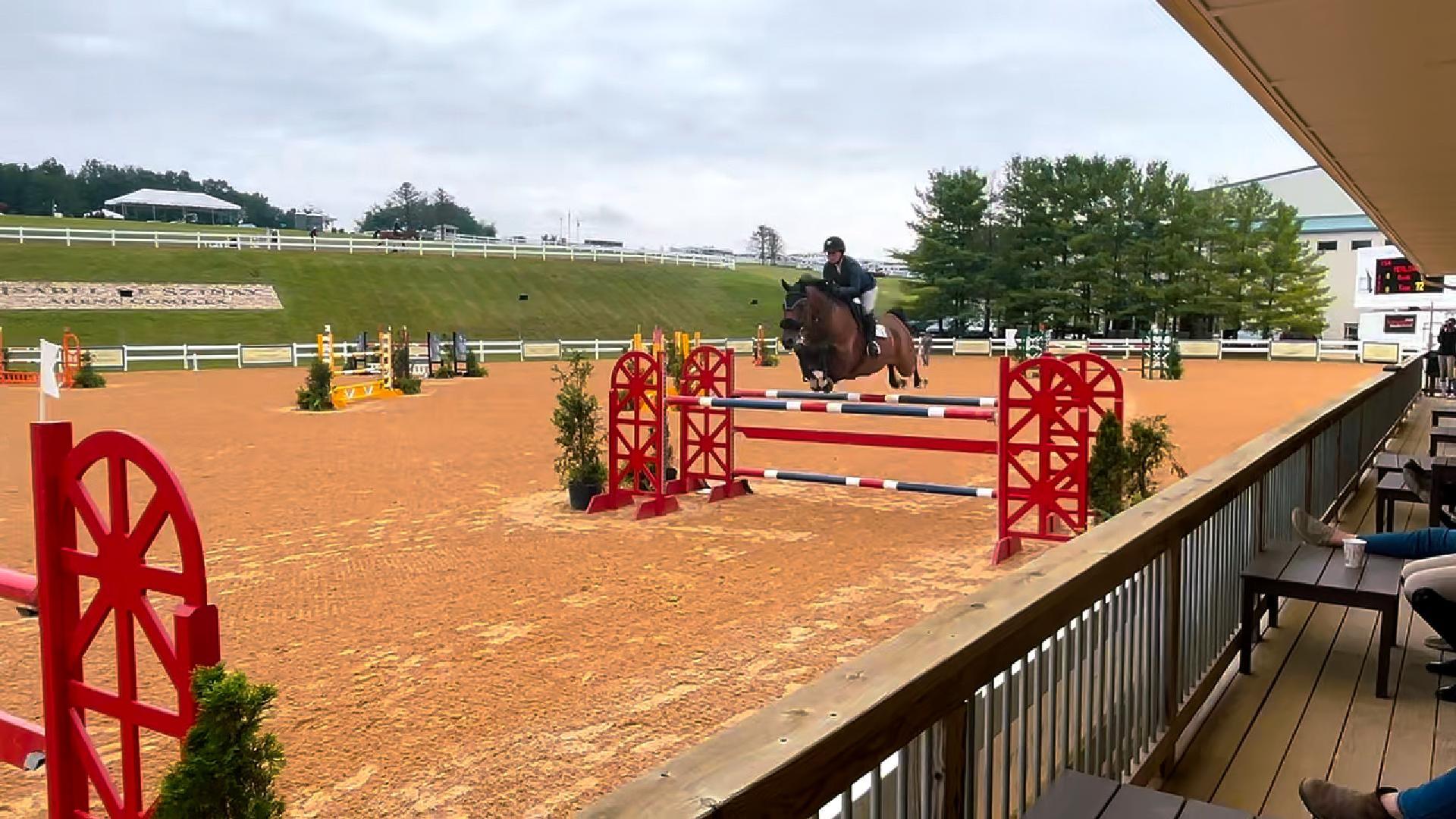 The past two weekends have been packed with wins, ribbons, and big milestones for #TeamMLE!