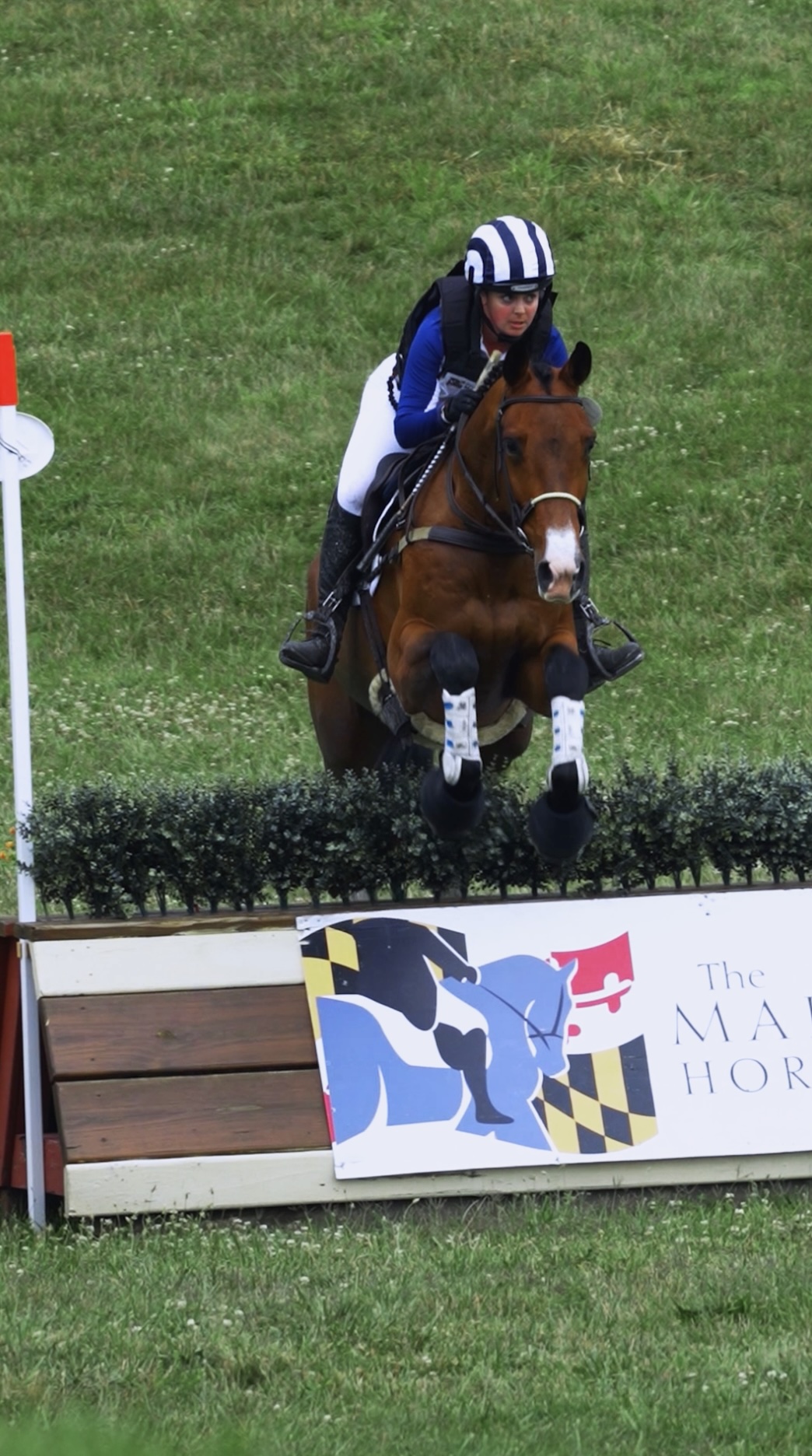 While everyone’s doing their best to stay cool, we’re looking back at #teamMLE riders' show results from this past weekend and the previous!